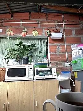 ElNegroRony online show from December 27, 2024, 3:04 pm