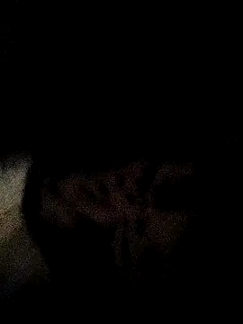 ruhi2003 online show from December 3, 2024, 11:33 am