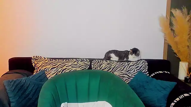 rora skyline online show from March 5, 2026, 1:18 pm