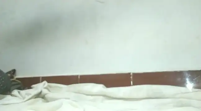 Snapshot of alansteer chatting on February 7, 2025, 6:45 pm alansteer online show from February 7, 2025, 6:45 pm