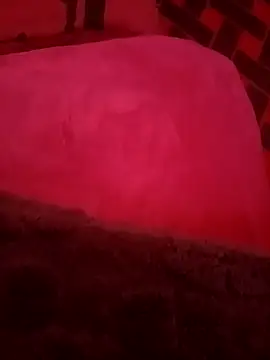 sosarax online show from November 15, 2025, 10:56 am