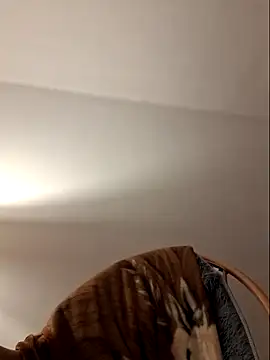 Vasember11xh online show from April 20, 2026, 7:26 pm