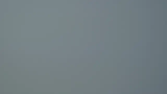 SelinSwarovski online show from October 14, 2025, 4:46 am