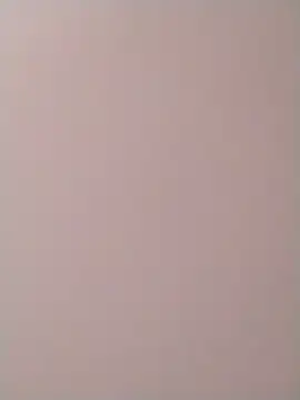 PracticalGum40 online show from December 2, 2024, 10:18 am