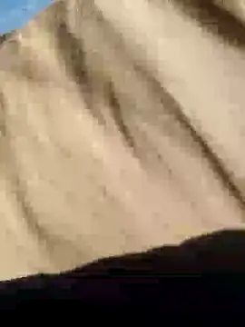 Snapshot of CptDickX258 chatting on January 12, 2025, 5:22 pm CptDickX258 online show from January 12, 2025, 5:22 pm