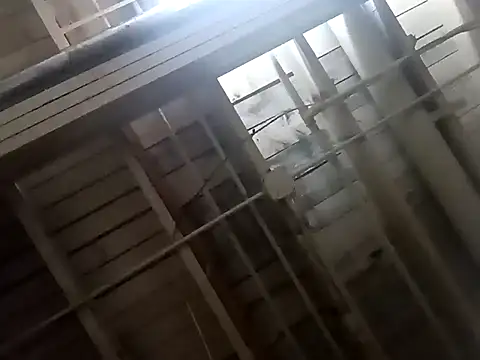 Snapshot of dvaughn3117 chatting on February 7, 2025, 6:03 am dvaughn3117 online show from February 7, 2025, 6:03 am