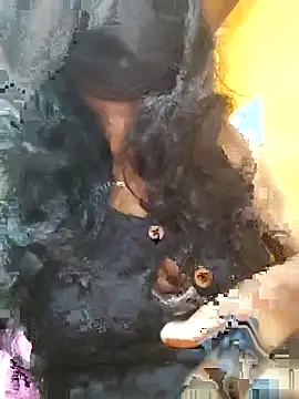 Snapshot of Tamillminnal chatting on September 13, 2025, 5:02 pm Tamillminnal online show from September 13, 2025, 5:02 pm