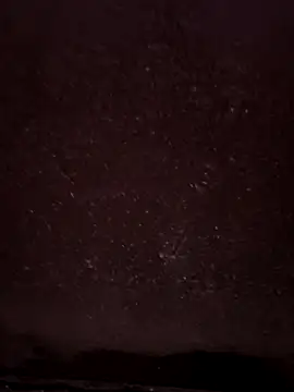 faaseel online show from February 14, 2025, 4:20 pm