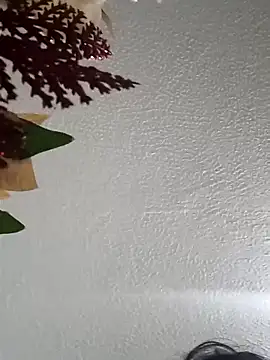 Naomy veracruz  online show from February 11, 2026, 10:09 am