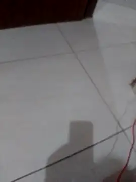 Lucianoonline online show from March 3, 2026, 10:15 pm