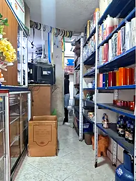 nidia2026 online show from March 17, 2026, 1:25 pm