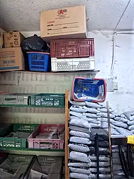 nidia2026 online show from April 21, 2026, 1:06 pm