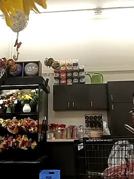 kobrashekyng online show from October 20, 2025, 2:39 pm