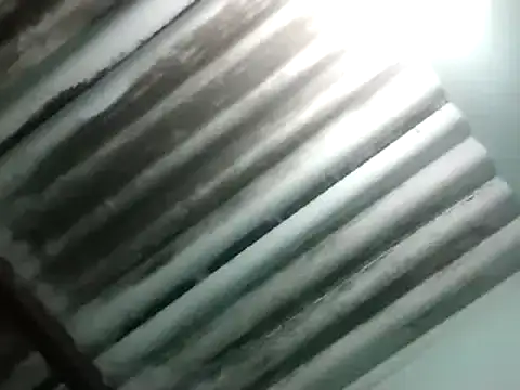 maximo vega newv online show from January 6, 2025, 10:58 pm