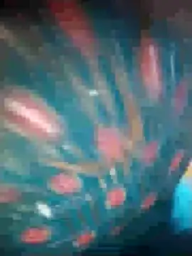 Ruby Sc online show from December 8, 2024, 1:36 pm