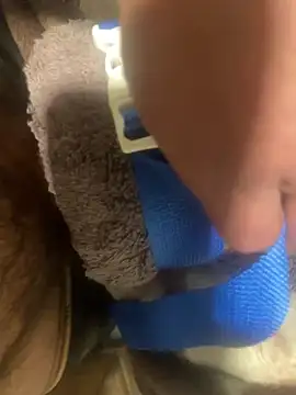 edgher646 online show from February 11, 2025, 8:48 am