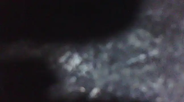 Penis58 online show from February 10, 2025, 9:58 pm