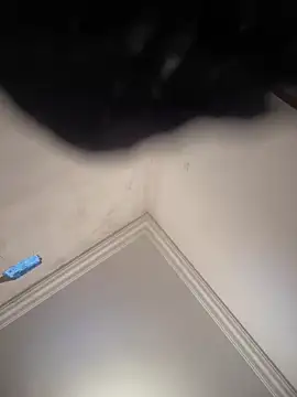 hot girl dina online show from February 8, 2025, 11:01 am