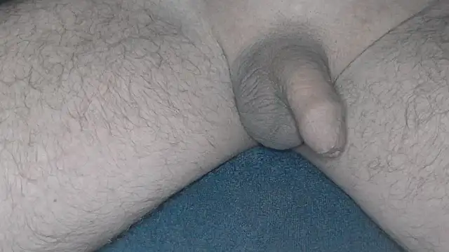 cs1512 online show from February 26, 2025, 4:36 am