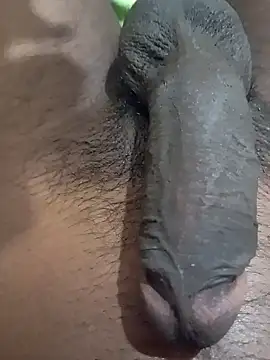 tharu111111 online show from January 27, 2025, 4:54 pm