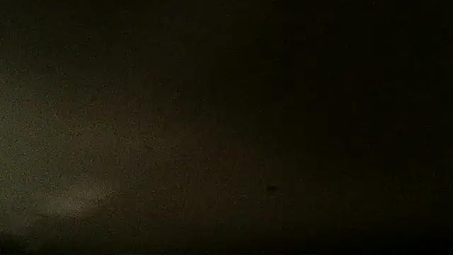 teek1234 1 online show from January 21, 2025, 4:54 am