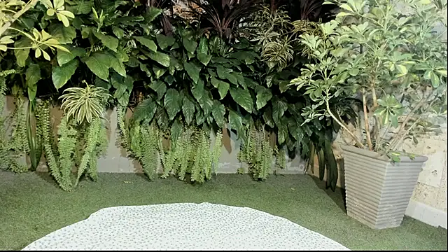 Snapshot of loladupont chatting on September 10, 2025, 3:06 am loladupont online show from September 10, 2025, 3:06 am