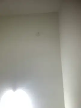 Snapshot of bidex002 chatting on May 16, 2026, 12:18 am bidex002 online show from May 16, 2026, 12:18 am