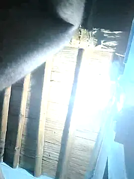 sasuke782 online show from February 25, 2025, 1:39 pm