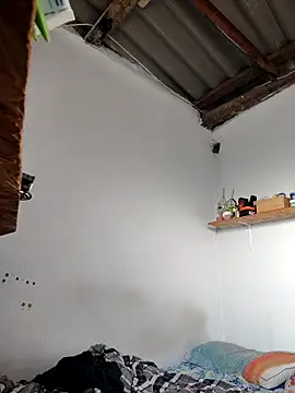 gatoalex89 online show from April 14, 2026, 12:22 pm