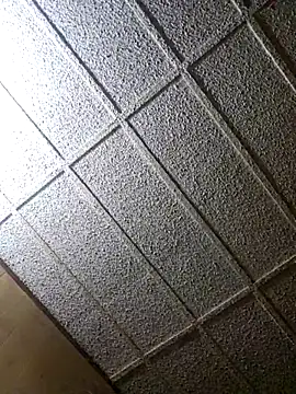 zaneporter46 online show from February 8, 2025, 12:49 am