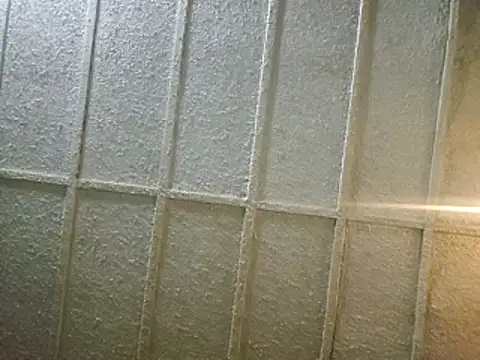 zaneporter46 online show from February 8, 2025, 3:52 am