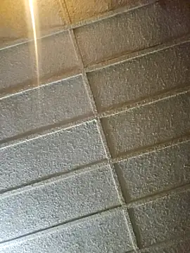 zaneporter46 online show from February 8, 2025, 9:56 am