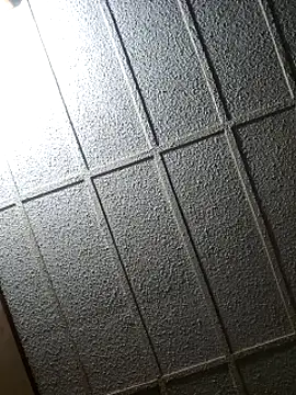 zaneporter46 online show from February 8, 2025, 4:04 pm