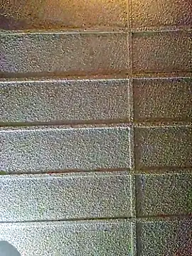 zaneporter46 online show from February 10, 2025, 9:25 pm