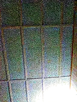 zaneporter46 online show from March 1, 2025, 5:20 am