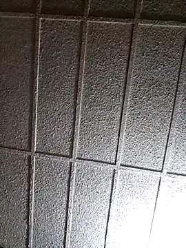 zaneporter46 online show from March 14, 2025, 5:59 am