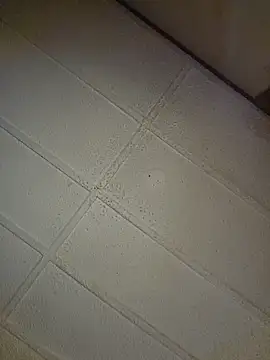 zaneporter46 online show from October 31, 2025, 9:05 pm