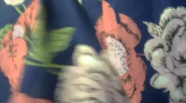 Naughty Nayra online show from February 3, 2025, 3:31 am