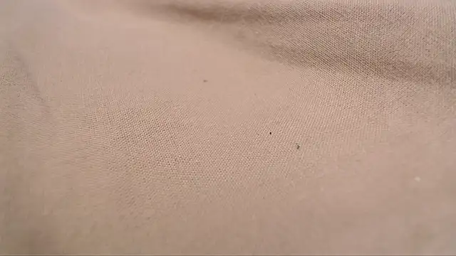 Snapshot of Lona-s chatting on April 8, 2026, 11:21 am Lona-s online show from April 8, 2026, 11:21 am