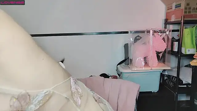 diandian-866 online show from February 20, 2025, 2:24 pm