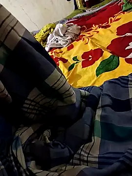 biharihot online show from December 29, 2024, 2:10 pm