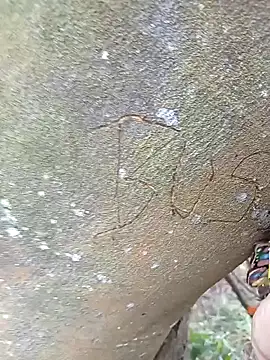 BELLA--26 online show from February 2, 2025, 3:07 pm