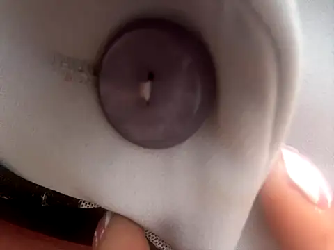 BELLA--26 online show from October 27, 2025, 1:48 pm