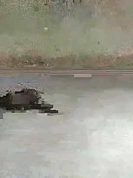 teluguu-rajj online show from October 27, 2025, 2:37 am