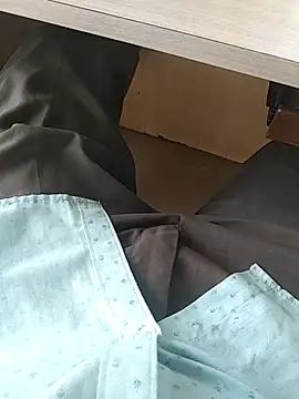 teluguu-rajj online show from November 27, 2025, 4:47 am