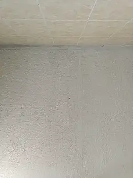 Snapshot of boobsTaylor chatting on September 21, 2025, 6:53 pm boobsTaylor online show from September 21, 2025, 6:53 pm