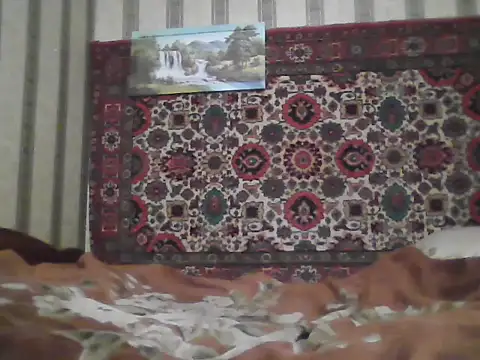 AlferezzSolvajo online show from November 12, 2025, 6:58 am