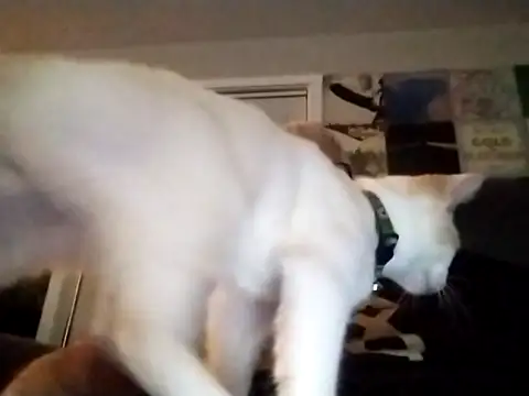 Futura intx online show from September 12, 2025, 1:17 am