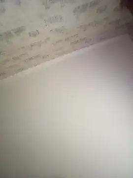 Lauren Amabel online show from October 12, 2025, 8:02 am