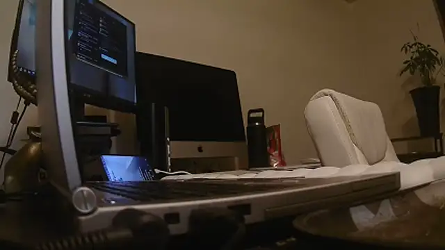 MrDaddyBbSnake online show from April 24, 2026, 2:03 am